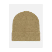 Dickies - Gibsland Beanie